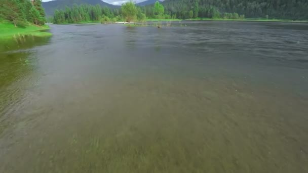 Vuelo sobre el río de montaña — Vídeos de Stock