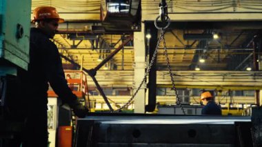 Bitki, zaman atlamalı, büyük rulo içinde geniş yaprak metal örgülü