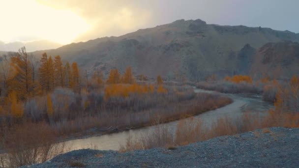 Zimní pohoří Altaj. Žlutá tráva a stromy. — Stock video