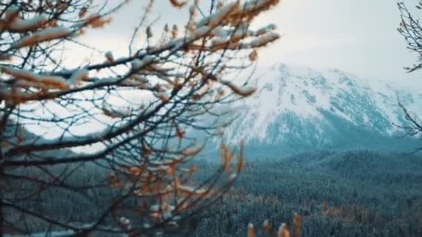 冬天。山风景. — 图库视频影像