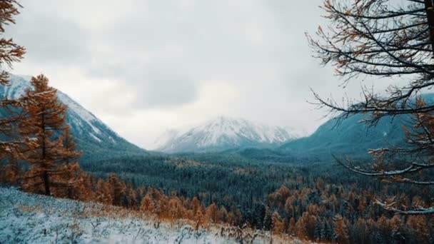 El invierno. El paisaje de montaña . — Vídeos de Stock