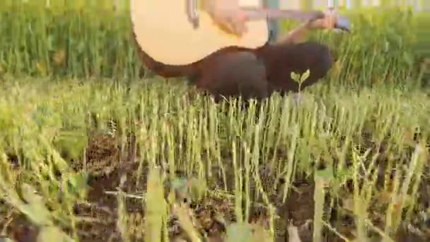 Jonge man spelen een ukulele in een veld zingt energiek, in slowmotion — Stockvideo