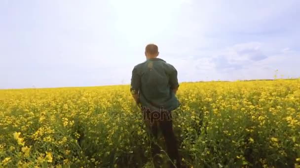 Silueta de hombre al atardecer. Concepto de libertad . — Vídeos de Stock