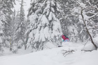 Snowboard freeride atlama toz.