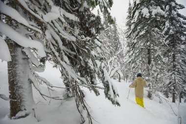 Freeride kayakçı ormanda