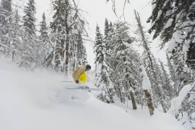 Freeride kayakçı ormanda