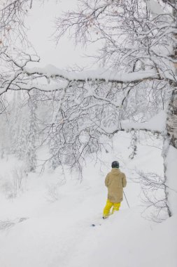 Freeride kayakçı ormanda