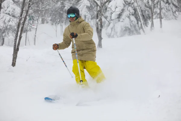 Freeride skidåkare i skogen — Stockfoto