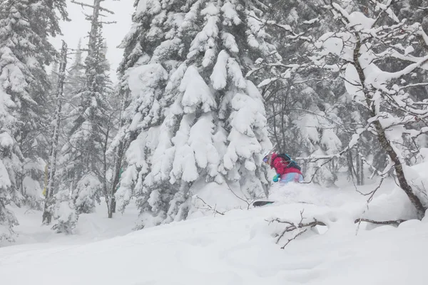 Snowboard freeride atlama toz.