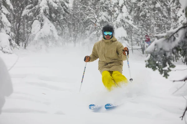 Narciarz Freeride w lesie — Zdjęcie stockowe