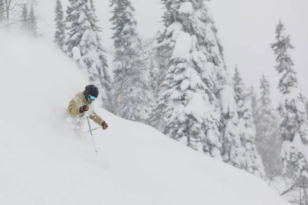 Freeride kayakçı ormanda