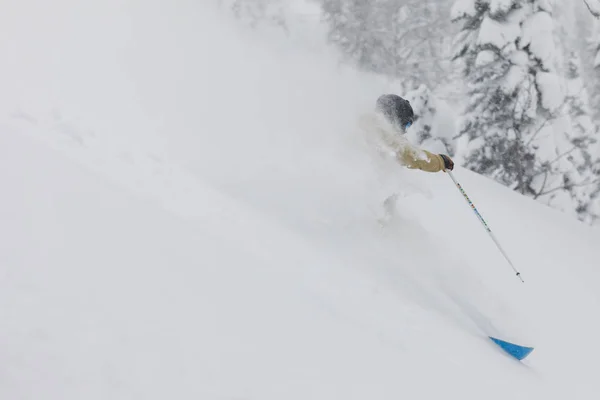 Freeride-Skifahrer im Wald — Stockfoto