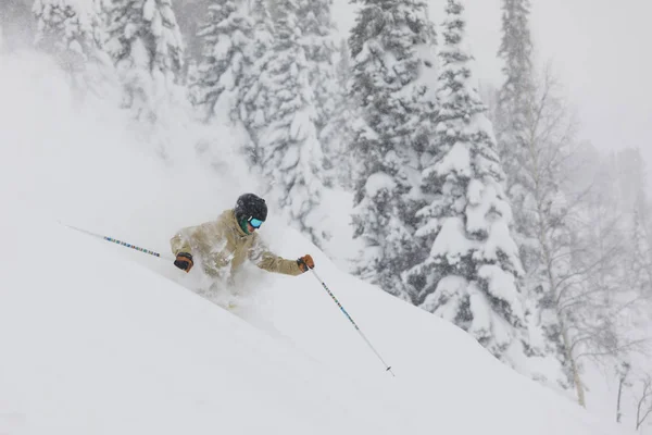 Freeride-Skifahrer im Wald — Stockfoto