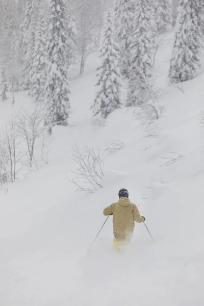 Freeride kayakçı ormanda