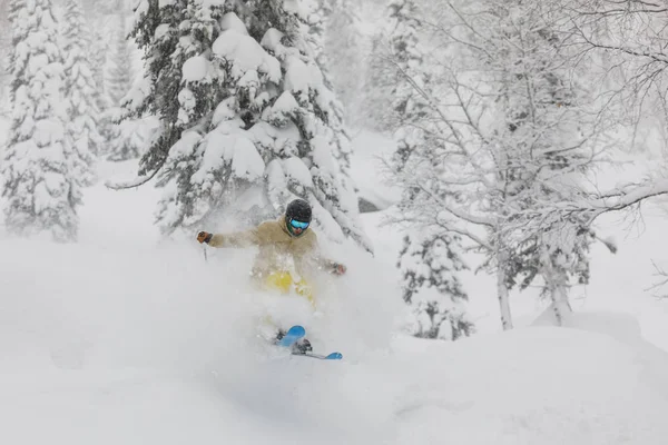 Freeride kayakçı ormanda — Stok fotoğraf