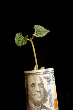 On dolarlık banknot siyah arka plan üzerine