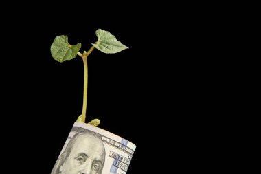 On dolarlık banknot siyah arka plan üzerine