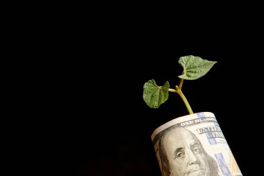 On dolarlık banknot siyah arka plan üzerine