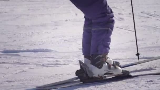 Vista trasera de 4k del esquiador profesional tallando por la ladera nevada — Vídeo de stock