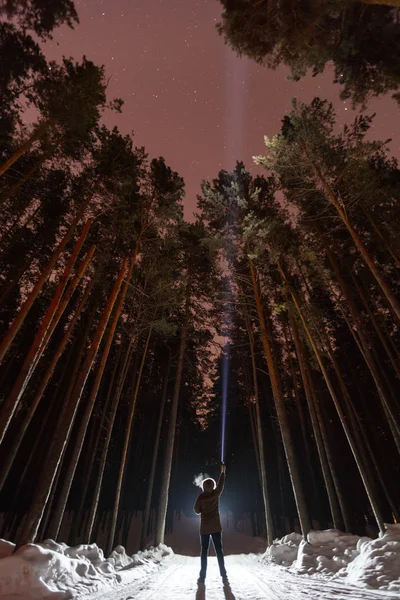Mannen med ficklampa i skogen Royaltyfria Stockbilder