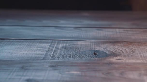 Montón de monedas cayendo sobre la mesa de madera — Vídeos de Stock