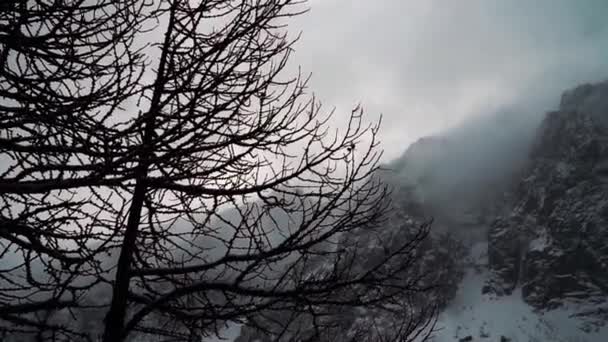 Montañas de nieve - Introducción del invierno — Vídeo de stock