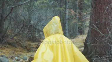 Gezgin bir sarı yağmurluk Tunceli. Arka dikiz Trek yoğun yağmur ormanı doğa ile sırt çantası ile yürüyen genç kadın uzun yürüyüşe çıkan kimse. Genç kız yaşayan aktif yaşam tarzı