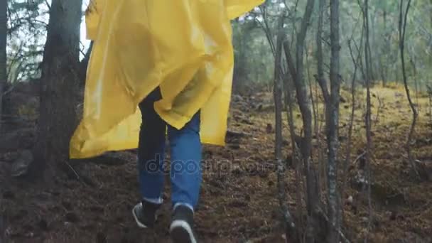 Resenären är klädd i en gul regnrock. Bakre bakifrån av unga kvinnliga vandrare går på trek med ryggsäck genom tät regnskog naturen. Ung flicka levande aktiv livsstil — Stockvideo