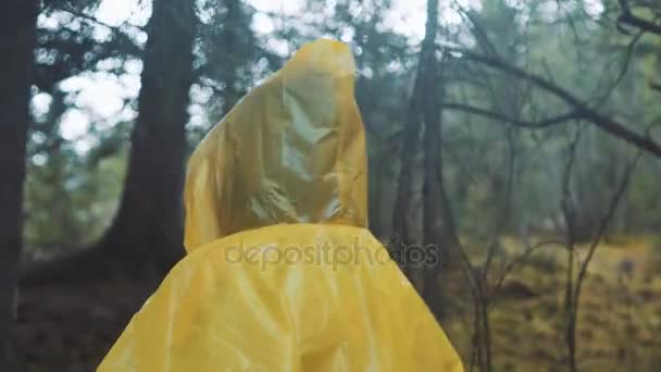 Viaggiatore è vestito con un impermeabile giallo. Vista posteriore posteriore della giovane escursionista che cammina a piedi con lo zaino attraverso la fitta natura della foresta pluviale. Giovane ragazza che vive stile di vita attivo — Video Stock