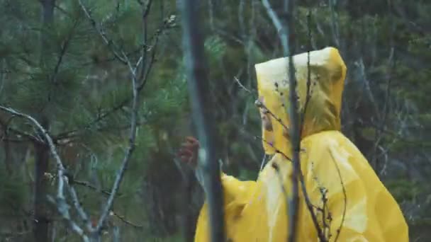 Viajero está vestido con un impermeable amarillo. Vista trasera trasera de una joven excursionista que camina en caminata con una mochila a través de la densa naturaleza de la selva tropical. Chica joven viviendo estilo de vida activo — Vídeos de Stock