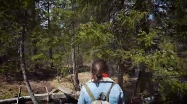 Mutlu kız Gezgin vahşi ormanda yürür. Bir kot ceket yürüyüş ve sırt çantası hiking giyinmiş. Yoğun bir orman çam ağaçları ve diğer ağaçlar. Yalnız, kendinizi bulma seyahat