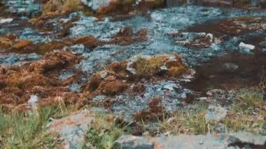 Genç kız bir macera işareti Holding dağ nehir, gülümsüyor ve gülüyor. Sık çam ormanı bir arka plan üzerinde. Ceket yürüyüş ve sırt çantası hiking kot pantolon giymiş. Yalnız, kendinizi bulma seyahat