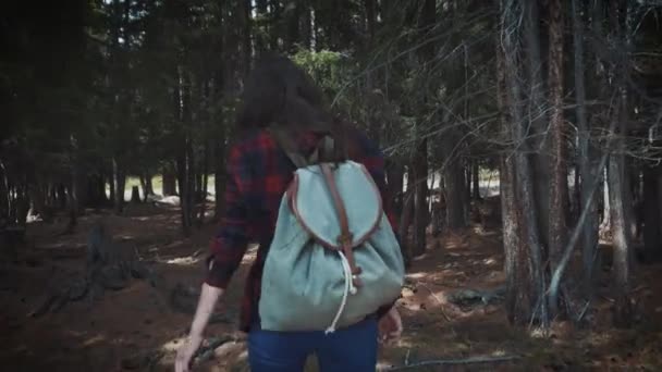 Caminhadas adolescentes hipster saudáveis ativos na floresta. Atravessa uma floresta de fadas escuras. Chamando com você — Vídeo de Stock