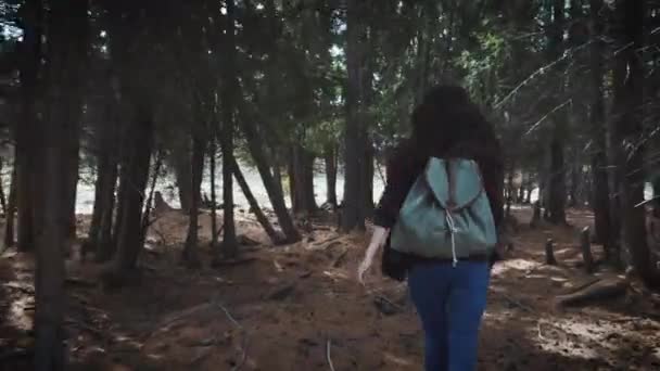 Kuray Rusland - 01.05.2017: Actieve gezonde hipster tiener wandelen in het bos. Loopt door een donkere fairy forest. Bellen met u — Stockvideo