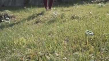 Genç güzel kadın kırmızı tank top açık havada, pratik bükme ağaç duruş, Vrksasana, Park yaz gününde varyasyonu yapıyor. Altay, nehir katun.