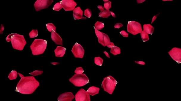 玫瑰花瓣飘落着阿尔法通道 — 图库视频影像