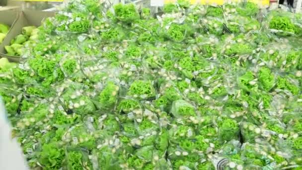 The girl in the store chooses and buys Lettuce seed. A large pile of green lettuce — Stock Video