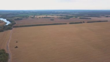 Anteni: Uçuş günbatımı buğday alanında üzerinde