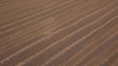 Anteni: Uçuş günbatımı buğday alanında üzerinde