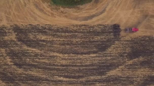 Luchtfoto: schieten op de drone over het veld van bouwland. Een rode trekker wordt het veld gewist in de herfst — Stockvideo