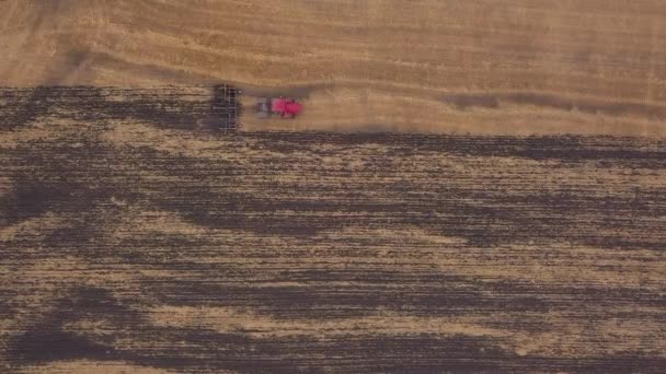 AERIAL: disparando al dron sobre el campo de tierra cultivable. Un tractor rojo despeja el campo en el otoño — Vídeos de Stock