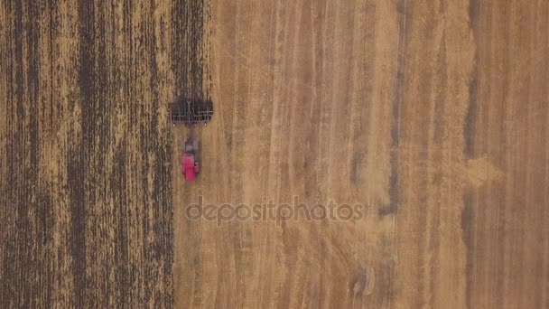 AERIAL: disparando al dron sobre el campo de tierra cultivable. Un tractor rojo despeja el campo en el otoño — Vídeos de Stock