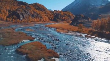 Anteni - uçuş bir dağ sonbahar nehir üzerinde. Su turkuaz ve Karaçam sarıdır. Uçuş güzel dağ Vadisi.