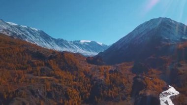 Anteni - uçuş bir dağ sonbahar nehir üzerinde. Su turkuaz ve Karaçam sarıdır. Uçuş güzel dağ Vadisi.