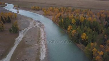 Havadan görünümü. Güzel dağ nehir üzerinde uçan. Hava kamera çekim. Manzara panorama. Altay, Sibirya.