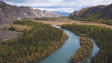Havadan görünümü. Güzel dağ nehir üzerinde uçan. Hava kamera çekim. Manzara panorama. Altay, Sibirya.