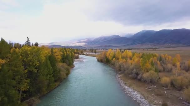 Flygfoto. Flygande över det vackra berget floden. Flygande kameran skott. Liggande panorama. Altai, Sibirien. — Stockvideo