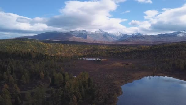 Εναέρια άποψη. Πετώντας πάνω από το πανέμορφο ορεινό ποτάμι. Εναέρια shot φωτογραφική μηχανή. Πανόραμα τοπίο. Αλτάι, Σιβηρία. — Αρχείο Βίντεο