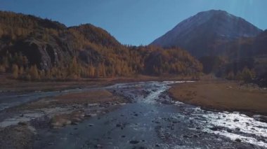 Anteni - uçuş bir dağ sonbahar nehir üzerinde. Su turkuaz ve Karaçam sarıdır. Uçuş güzel dağ Vadisi.