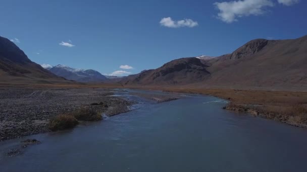Aérien - Vol au-dessus d'une rivière d'automne de montagne. L'eau est turquoise et le mélèze jaune. Vol dans une belle vallée de montagne . — Video